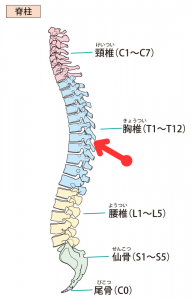 よく痛める箇所（赤い矢印付近）