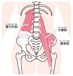 ポイントは腸腰筋です