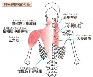 肩を治療すると、バネ指は楽になります。