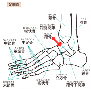 足首