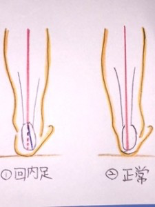 足首